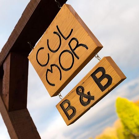 Cul Mor B&B Eccleshall Esterno foto